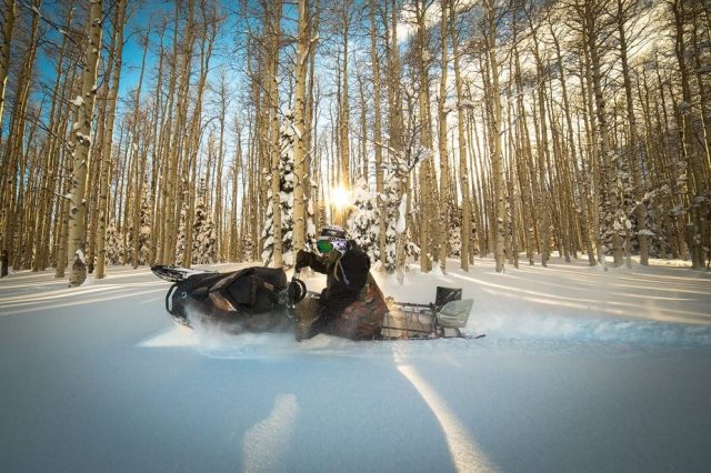 Tanner Hall powder triumph