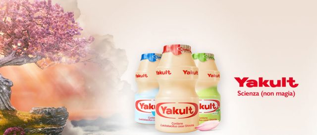 Yakult Yakult
