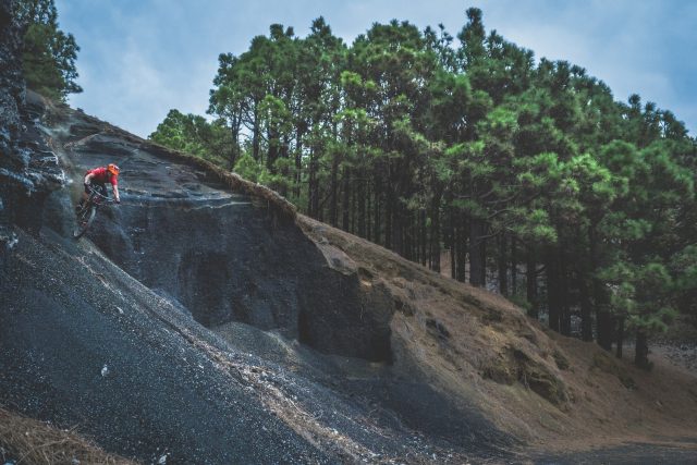 Il verde delle pinete che si mischia con il marrone e il nero del terreno di origine vulcanica