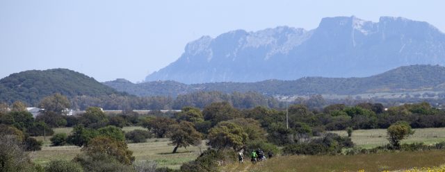 Parte del gruppo mentre attraversa la pianura di Olbia. Sullo sfondo i calcari dell’isola di Tavolara - foto: Giorgio Spiga