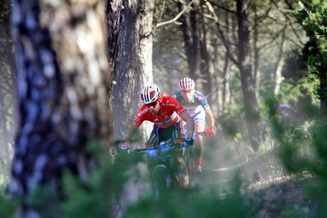 A tutta nel bosco