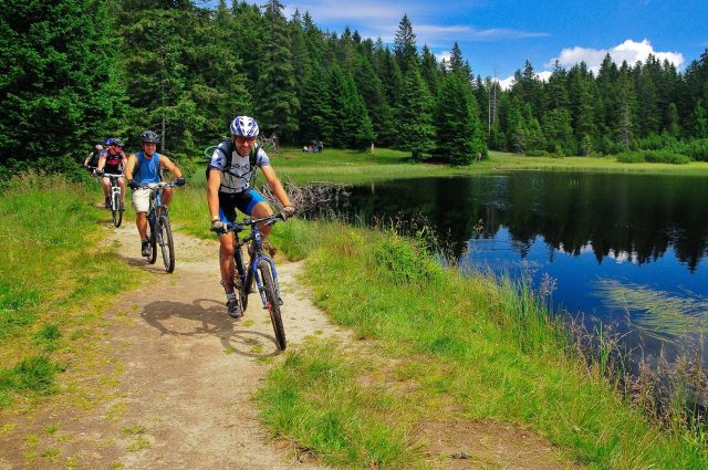 Pedalata rilassante in riva al lago