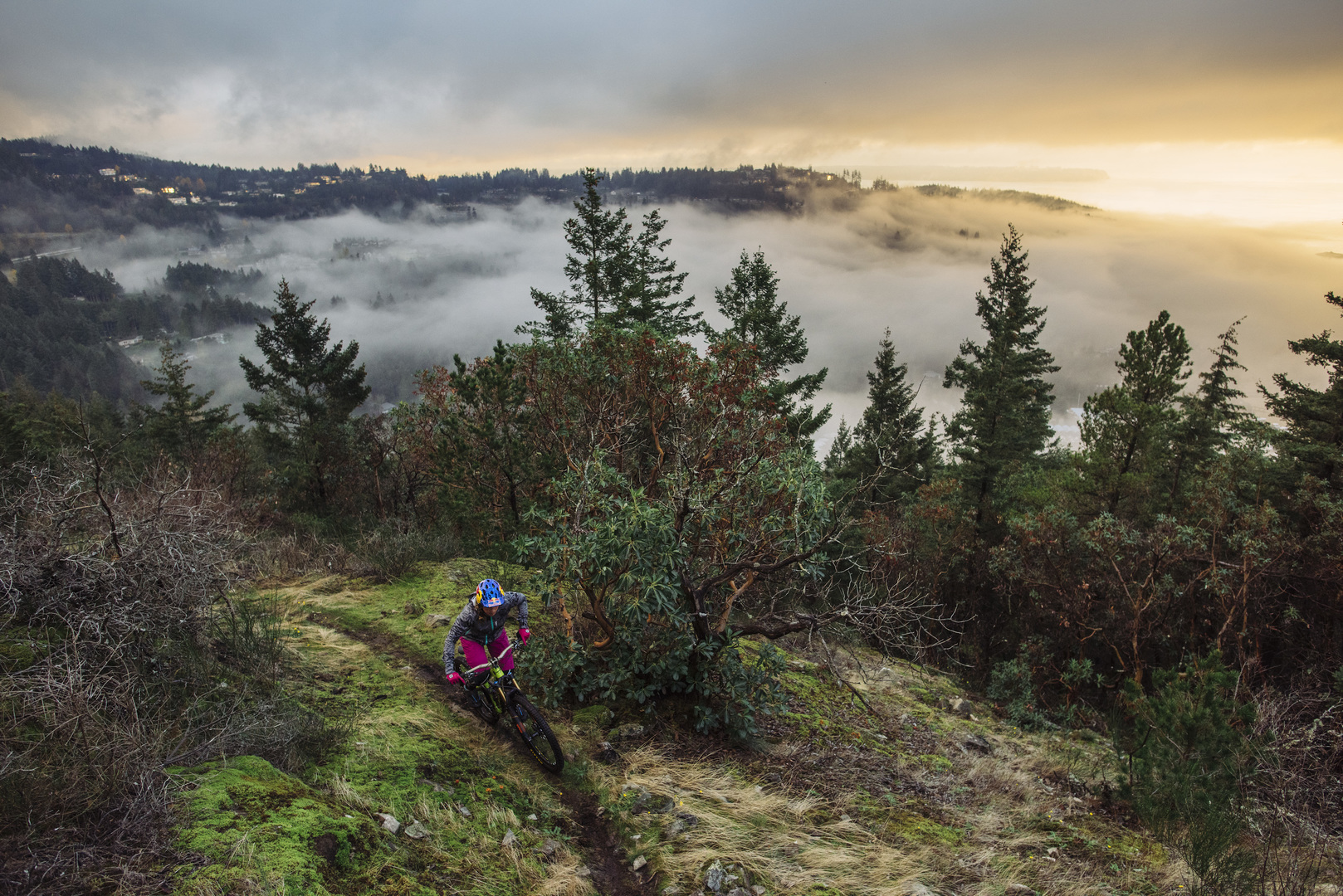 Trail Bike: alla scoperta della MTB totale per fare tutto e bene