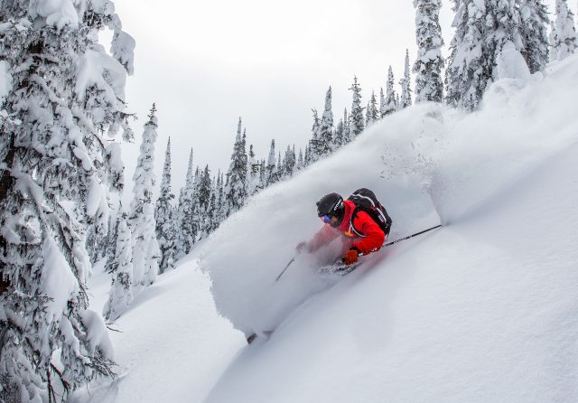 Windstedt freeski atomic