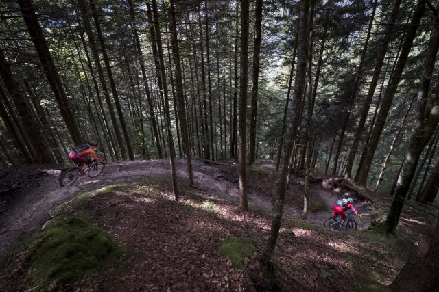 Flow Trail nei boschi sopra Molveno
