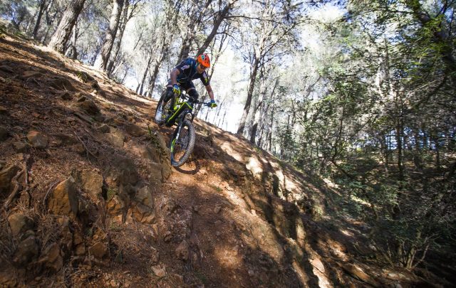 Ripido all'interno dei boschi della Sierra de Mijas