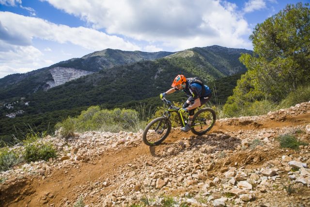 Sulla Cortafuegos DH con la Atom X Lynx 6 Plus Pro