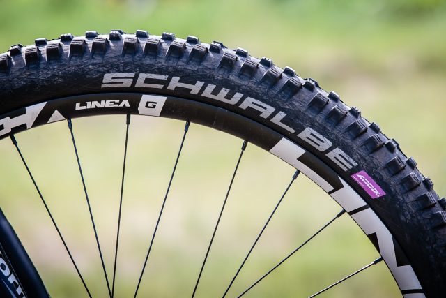 AB Devinci Italy - Wilson 29