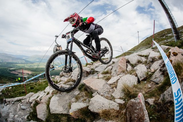 AB Devinci Italy - Wilson 29