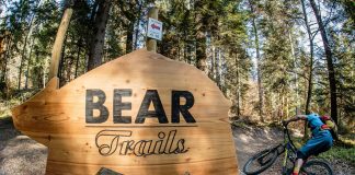 Lungo il Bear Trails