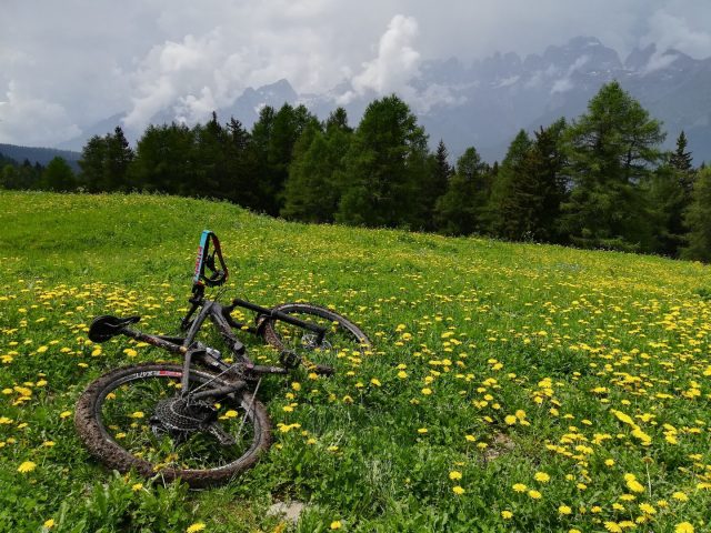 Vista magnifica lungo il Bear Trails