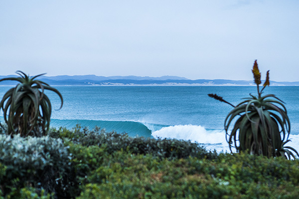 Corona Open J-Bay