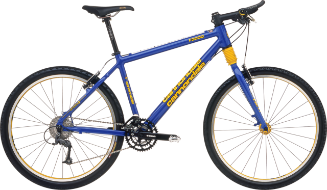 Cannondale F3000 del 2000