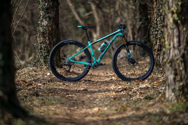 Bianchi Methanol CV