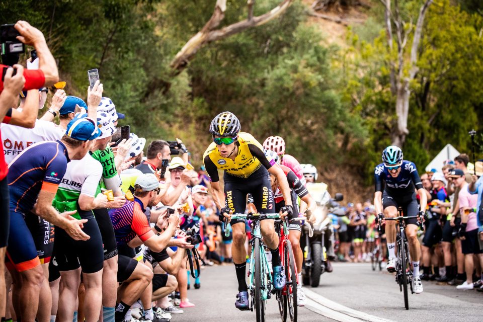 chaussure shimano s phyre 2019