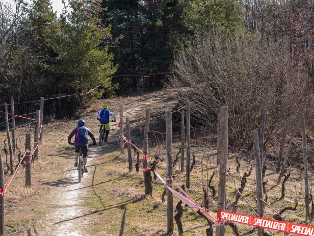 Rilanciando in falsopiano prima dell'inizio della prova in discesa