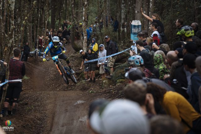 Martin Maes domina nuovamente in Tasmania
