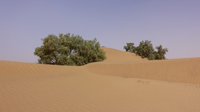 Le incredibili dune del deserto dell'Erg Chegaga che arrivano a raggiungere anche i trecento metri di quota