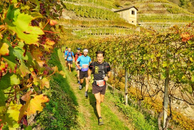 Scorcio imperdibile, correndo tra i vigneti che danno prestigio e nomea alla Valtellina nel mondo, il VWT è anche questo. Scorcio imperdibile, correndo tra i vigneti che danno prestigio e nomea alla Valtellina nel mondo, il VWT è anche questo.