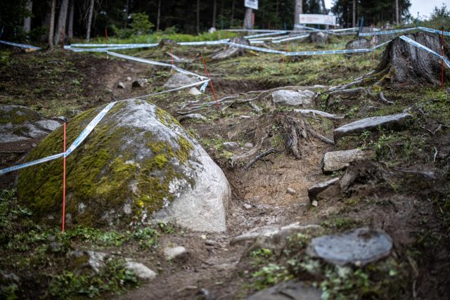 Un tratto della Black Snake, la mitica pista da discesa della Val di Sole - foto: Michele Mondini