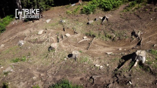 I famosi letti di radici della pista downhill Black Snake