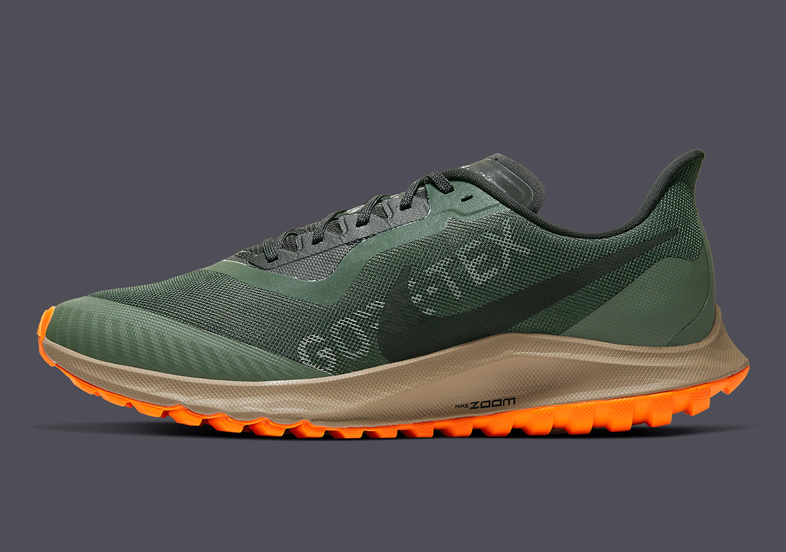 Nike Pegasus 36 Trail GORE-TEX Invisible fit - 4ActionSport بشكل
