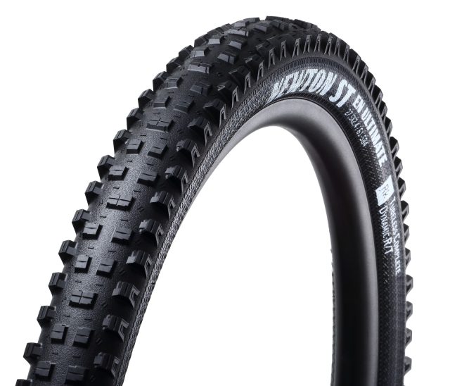 Goodyear Newton ST, dedicata alla downhill