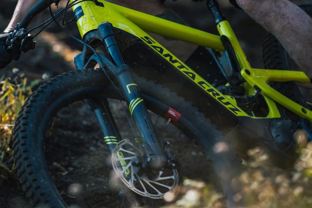 Santa Cruz Heckler - closeup