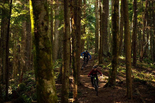 Enve AM30 - action
