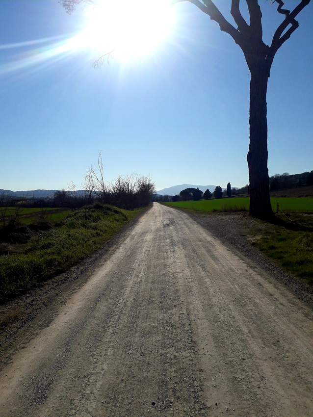 Una suggestiva immagine dei terreni offroad dell'Umbiratrail di MTB, perfetti per correre in libertà, ma prima bisogna scegliere la scarpa da running giusta per correre.