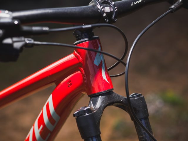 Specialized Rockhopper MY21 - sterzo