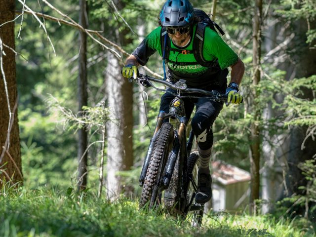 Cannondale Habit Neo - action