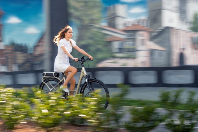 Brinke - eBike City - action
