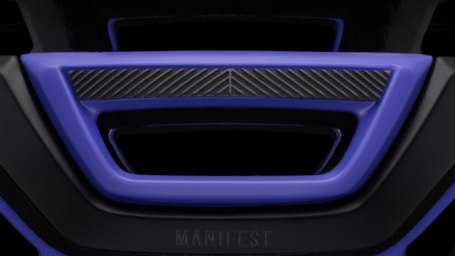 Giro Manifest Spherical - goggle gripper