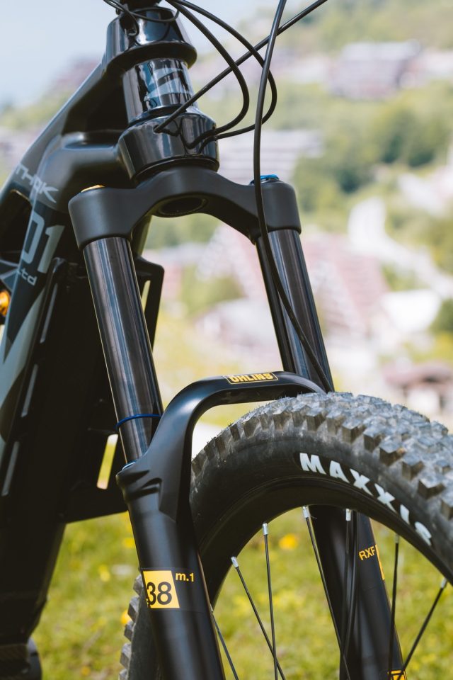 Thok TK 01 LTD - forcella