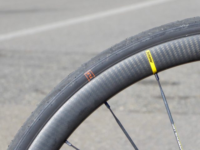 schwalbe