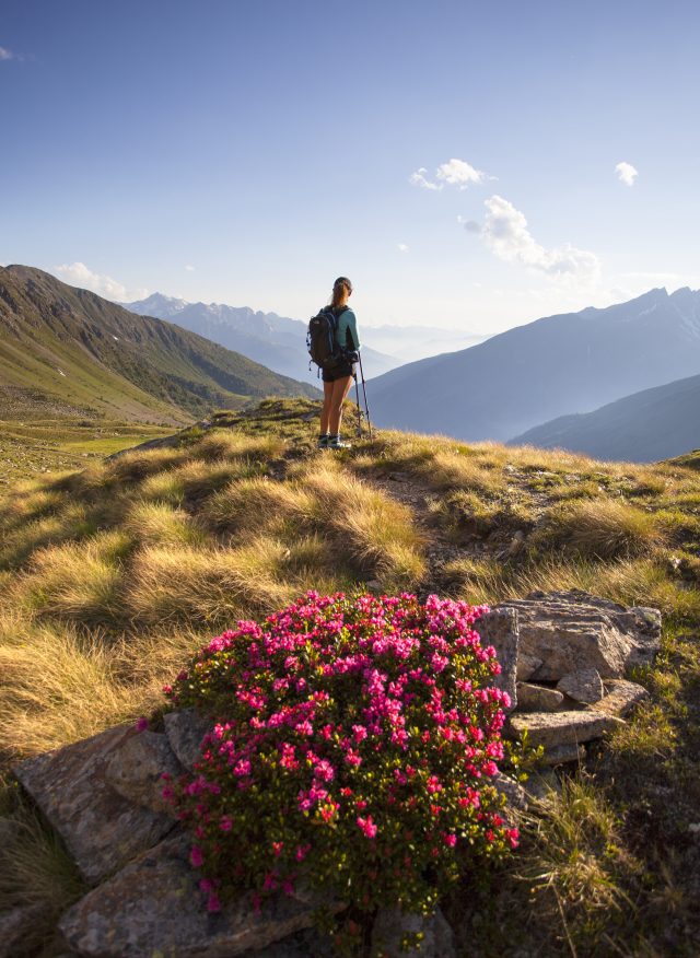 Comprensorio Pontedilegno-Tonale_Trekking-Ph.-Icaro-Pigolotti