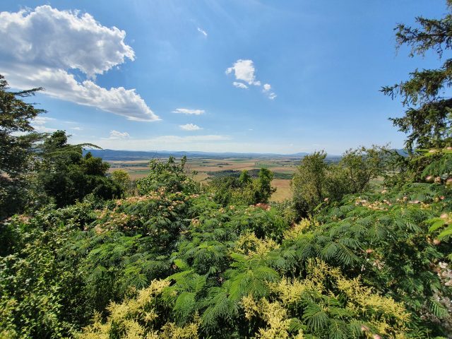 Bikepacking experience da Firenze a Roma