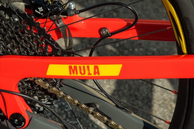 Fulgur Mula 02