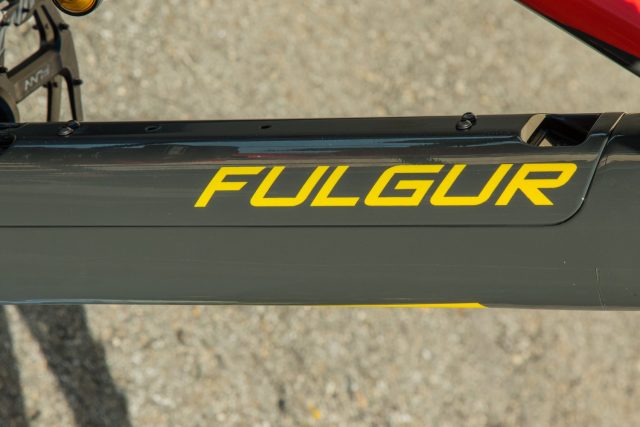 Fulgur Mula 03