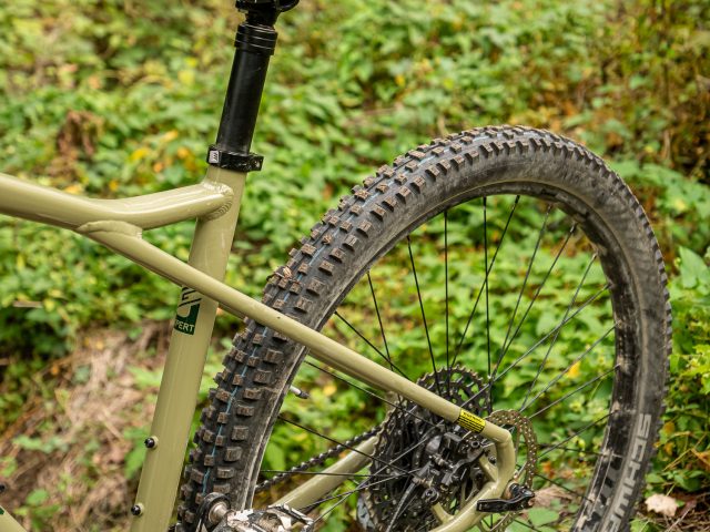 GT Zaskar LT Expert test - details 03