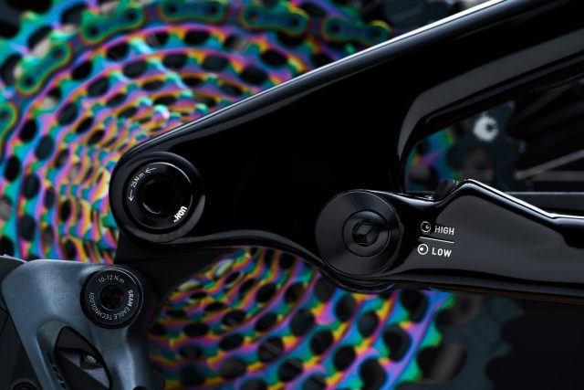 Specialized Stumpjumper Evo - Horst