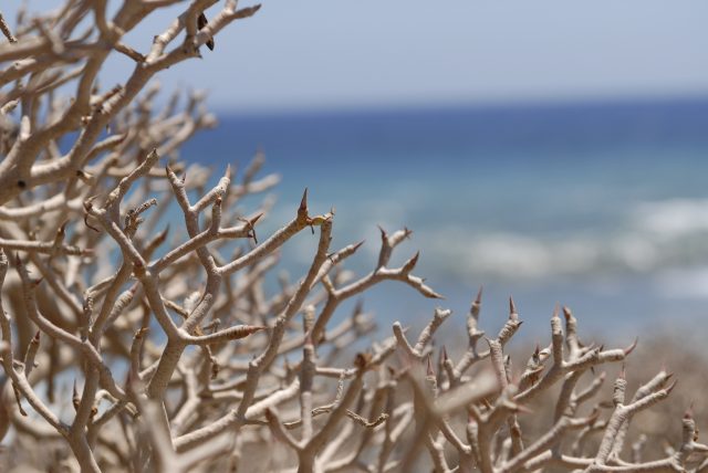 https://www.grancanaria.com/turismo/it/