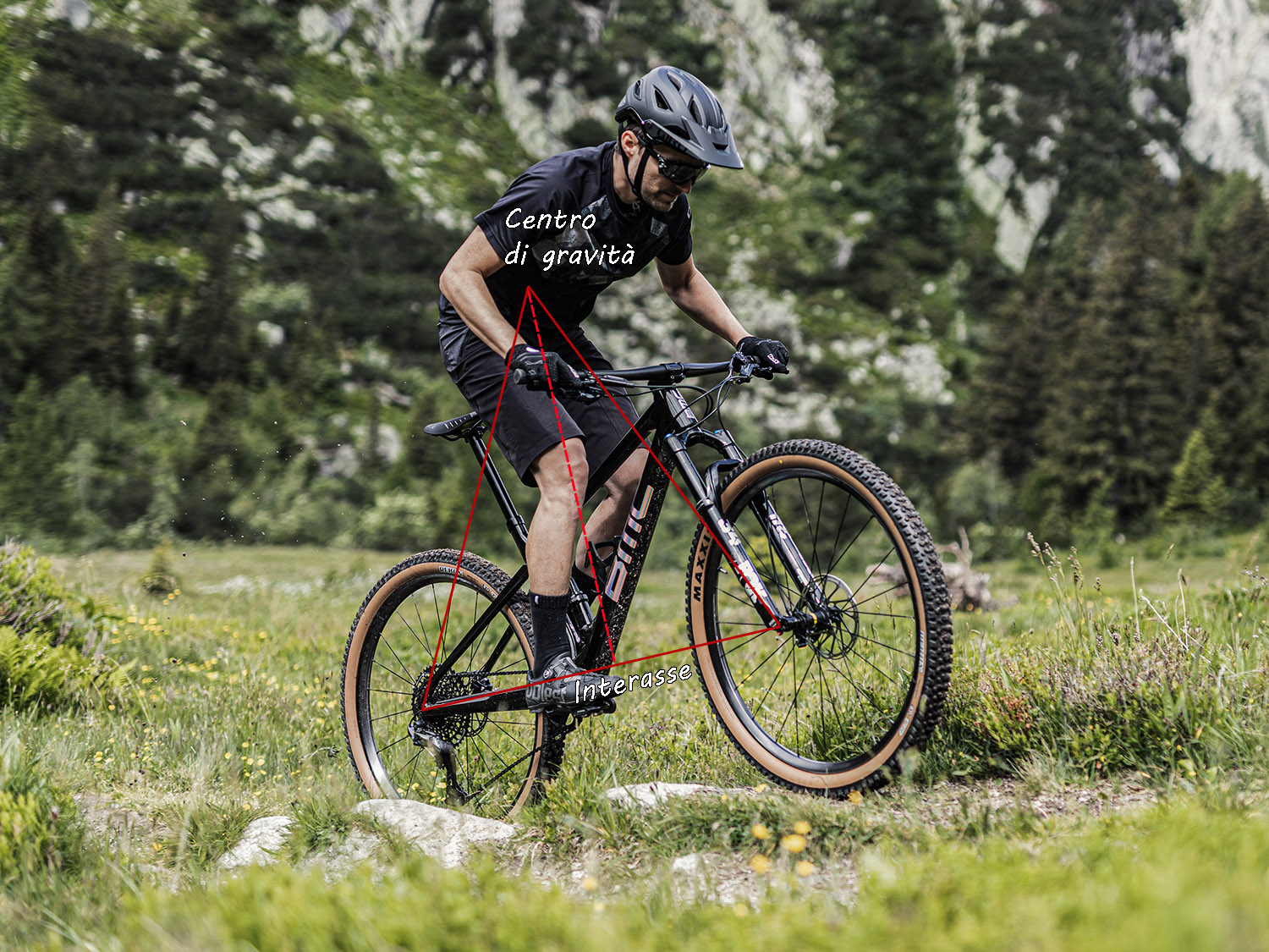 Geometria MTB: la guida definitiva - parte 2 - 4ActionSport