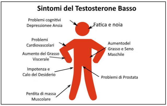 Testosterone e ciclismo, benessere e sport