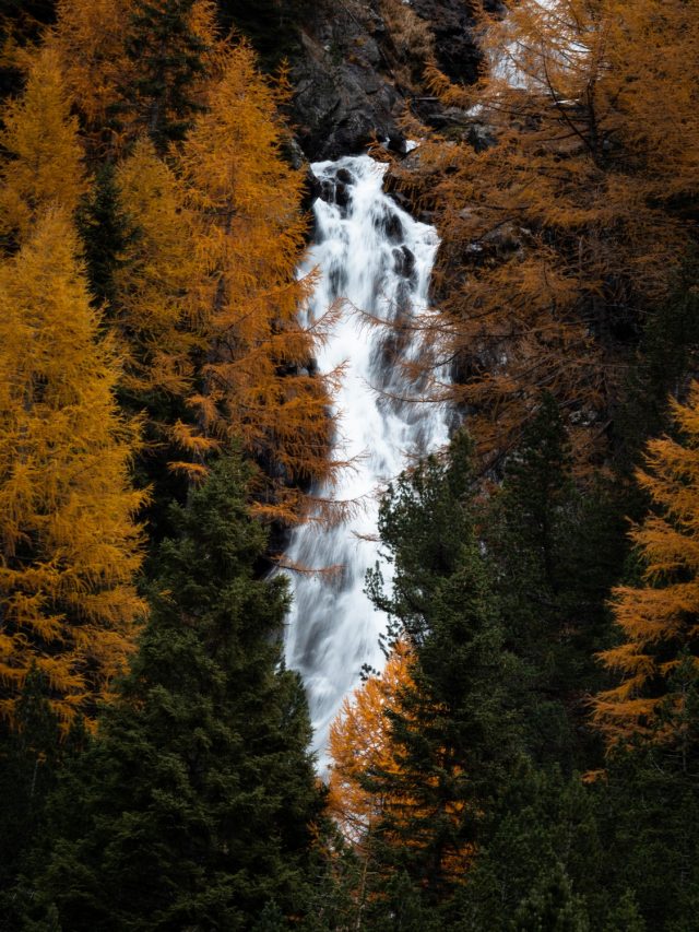 Fall without Falling photogallery - 12