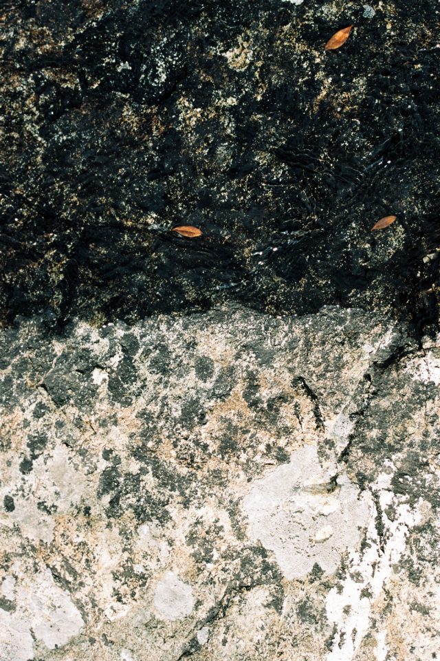 Fall without Falling photogallery ode al riding autunnale - 14