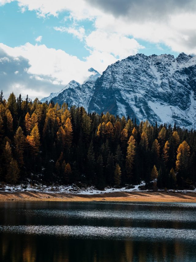 Fall without Falling photogallery - 04