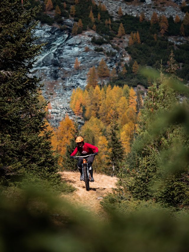 Fall without Falling photogallery - 05