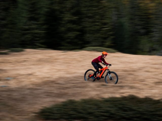 Fall without Falling photogallery ode al riding autunnale - 07